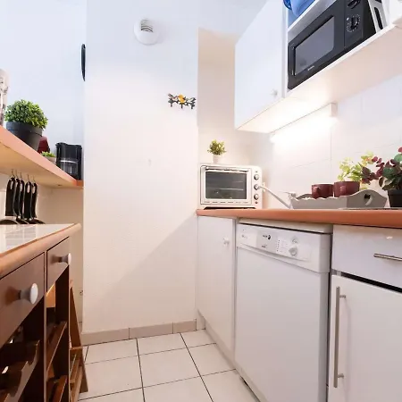 Maison Au Centre, 4 Pers, Parking, Animaux, Pres Du Telepherique - Fr-1-296-437 * Saint-Lary-Soulan